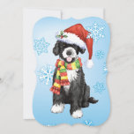 Happy Howlidays PWD Feestdagenkaart<br><div class="desc">Vier het vakantieseizoen met een schattige Portugese waterhondpuppy met een kerstmuts en sjaal te midden van sneeuwvlokken met de woorden,  Happy Howlidays op de rug! Geweldig voor PWD-liefhebbende familie en vrienden.</div>