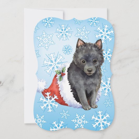 Happy Howlidays Schipperke Feestdagenkaart (Voorkant)