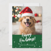 Happy Howlidays Script Green Dog Foto Feestdagenkaart (Voorkant)