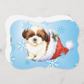 Happy Howlidays Shih Tzu Feestdagenkaart (Voorkant / Achterkant)