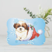 Happy Howlidays Shih Tzu Feestdagenkaart (Staand voorkant)