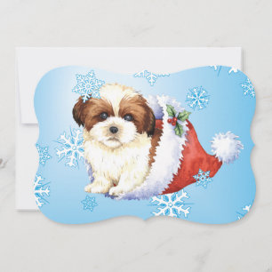Happy Howlidays Shih Tzu Feestdagenkaart