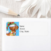 Happy Howlidays Vizsla Etiket (Insitu)