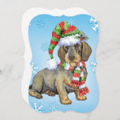 Happy Howlidays Wirehaire Dachshund Feestdagenkaart (Voorkant / Achterkant)