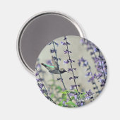 Happy Hummingbird II Magneet (Voorkant / Achterkant)