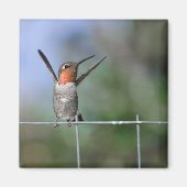 Happy Hummingbird Magnet (Voorkant)