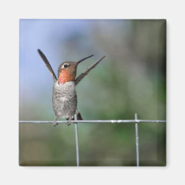 Happy Hummingbird Magnet