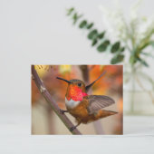 Happy Hummingbird met Wings uit Briefkaart (Staand voorkant)