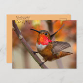 Happy Hummingbird met Wings uit Briefkaart (Voorkant / Achterkant)