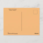 Happy Hummingbird met Wings uit Briefkaart (Achterkant)