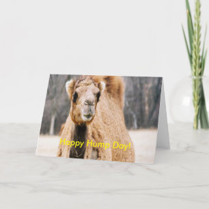 Happy Hump Day Kaart