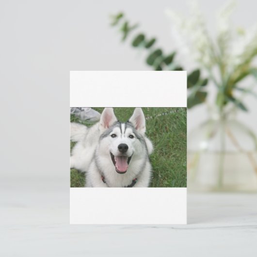 Happy Husky Briefkaart (Staand voorkant)