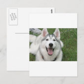 Happy Husky Briefkaart (Voorkant / Achterkant)