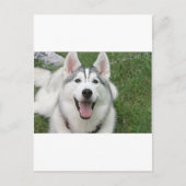 Happy Husky Briefkaart (Voorkant)