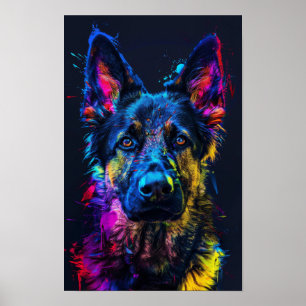 Happy Husky Cross met kortharige Duitse herder Poster