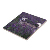 Happy husky hond tegeltje (Zijkant)