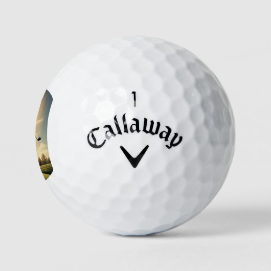 Happy Joe Biden Golfballen (Logo)