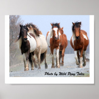 Happy Joggers Poster