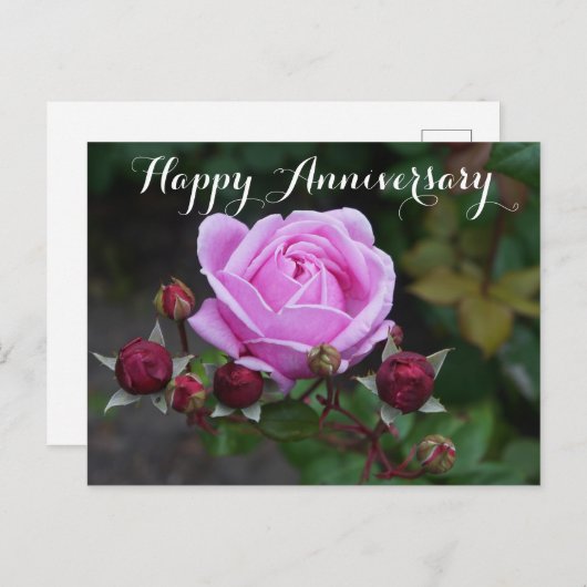 Happy Jubileum bisschop's Castle Roos #1 Briefkaar Briefkaart (Voorkant / Achterkant)