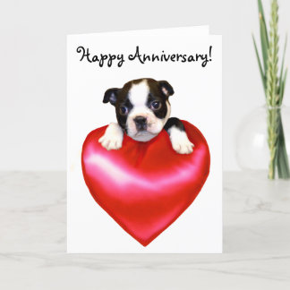 Happy Jubileum Boston Terrier Wenskaart Kaart