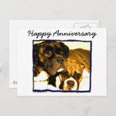 Happy Jubileum Boxer Wenskaart Briefkaart (Voorkant / Achterkant)