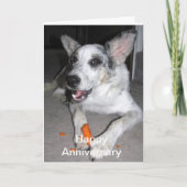 Happy Jubileum Carrot 'bout Kaart (Voorkant)