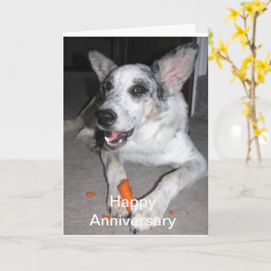 Happy Jubileum Carrot 'bout Kaart (Gele Bloem)