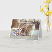 Happy Jubileum (Cats) - Christelijk Kaart (Gele Bloem)