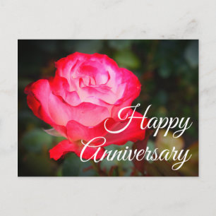 Happy Jubileum Cherry Parfait Roos #3 Briefkaart