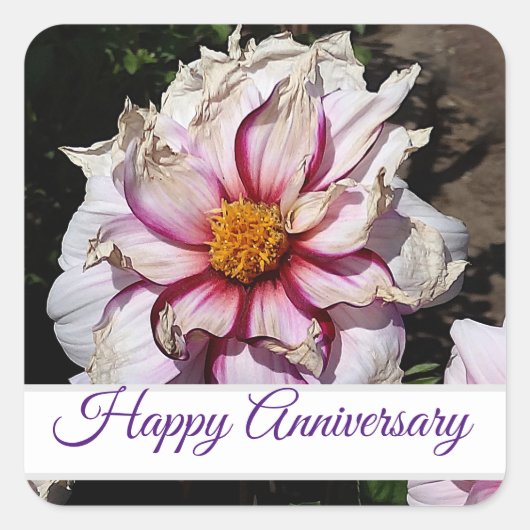 Happy Jubileum Dahlia Edge of Joy #1 Sticker (Voorkant)