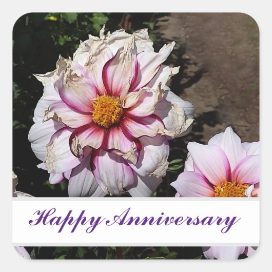 Happy Jubileum Dahlia Edge of Joy #1 Sticker (Voorkant)