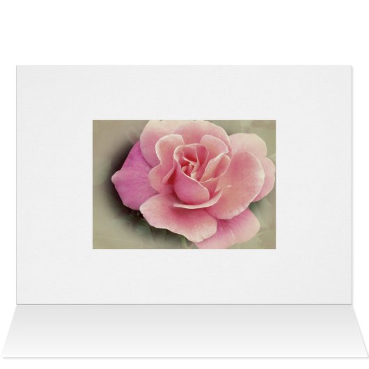 Happy Jubileum, My Love / Pink Rose (Binnen Horizontaal (Boven))