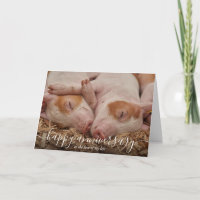 Happy Jubileum Pig Custom Kaart