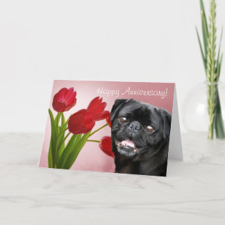 Happy Jubileum Pug wenskaart Kaart