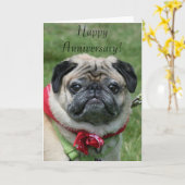 Happy Jubileum Pug Wenskaart Kaart (Gele Bloem)