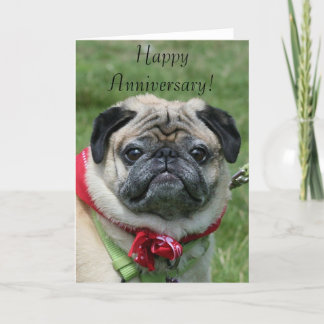 Happy Jubileum Pug Wenskaart Kaart