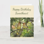 Happy Jubileum SweeLieverd Birds in Love Fun Kaart (Voorkant)