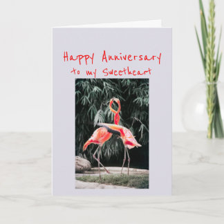 Happy Jubileum Sweet Romantic Flamingo Birds Feestdagen Kaart