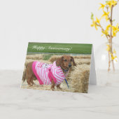 Happy Jubileum Teckel wenskaart Kaart (Gele Bloem)