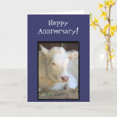 Happy Jubileum white koe wenskaart Kaart (Gele Bloem)