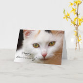Happy Jubileum Witte kat wenskaart Kaart (Gele Bloem)