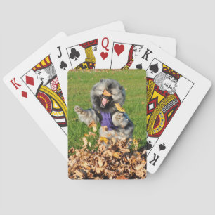 Happy Kees-spelkaarten Pokerkaarten