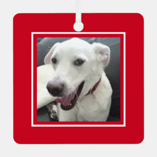Happy Kerstfeest Funny glimlachend Dog Red Holiday Metalen Ornament