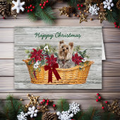 Happy Kerstkshire Terrier Dog in mandje