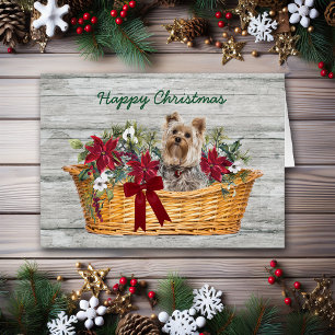 Happy Kerstkshire Terrier Dog in mandje
