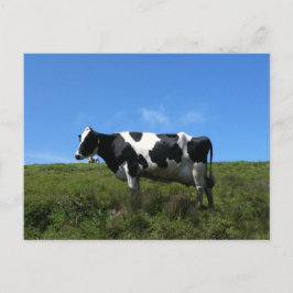 Happy Koe Briefkaart
