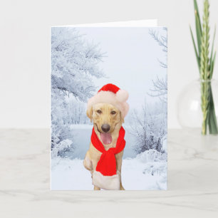 Happy Lab Santa White Christmas Feestdagen Kaart