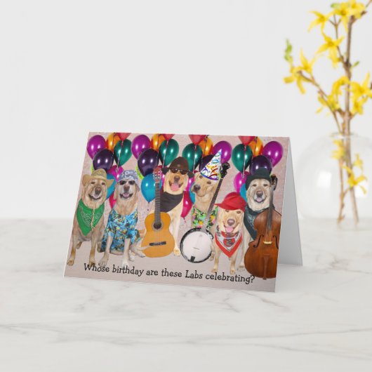  Happy Lab Verjaardag Kaart (Gele Bloem)