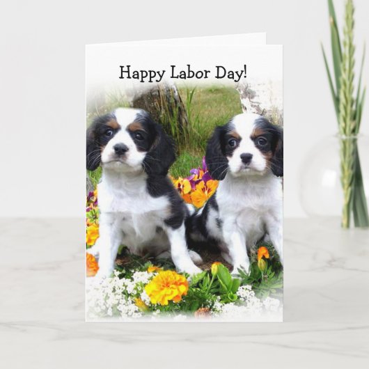 Happy Labor Day King Charles Spaniel puppies kaart (Voorkant)