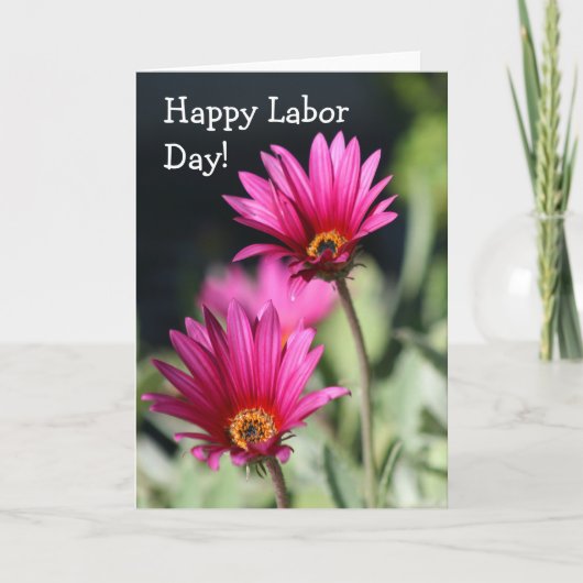 Happy Labor Day Pink Daisy wenskaart Kaart (Voorkant)